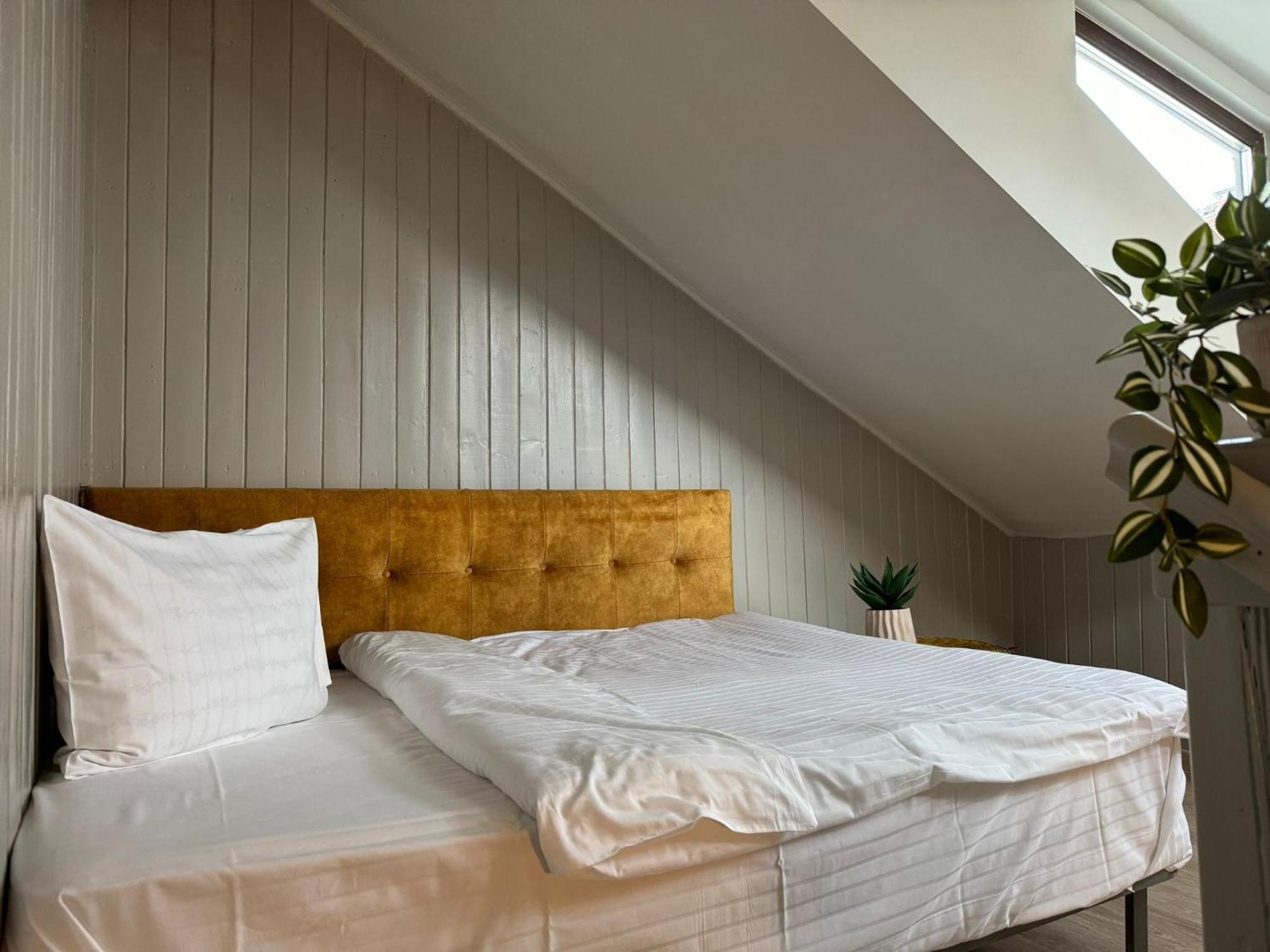 Central Stay Brasov Ngoại thất bức ảnh